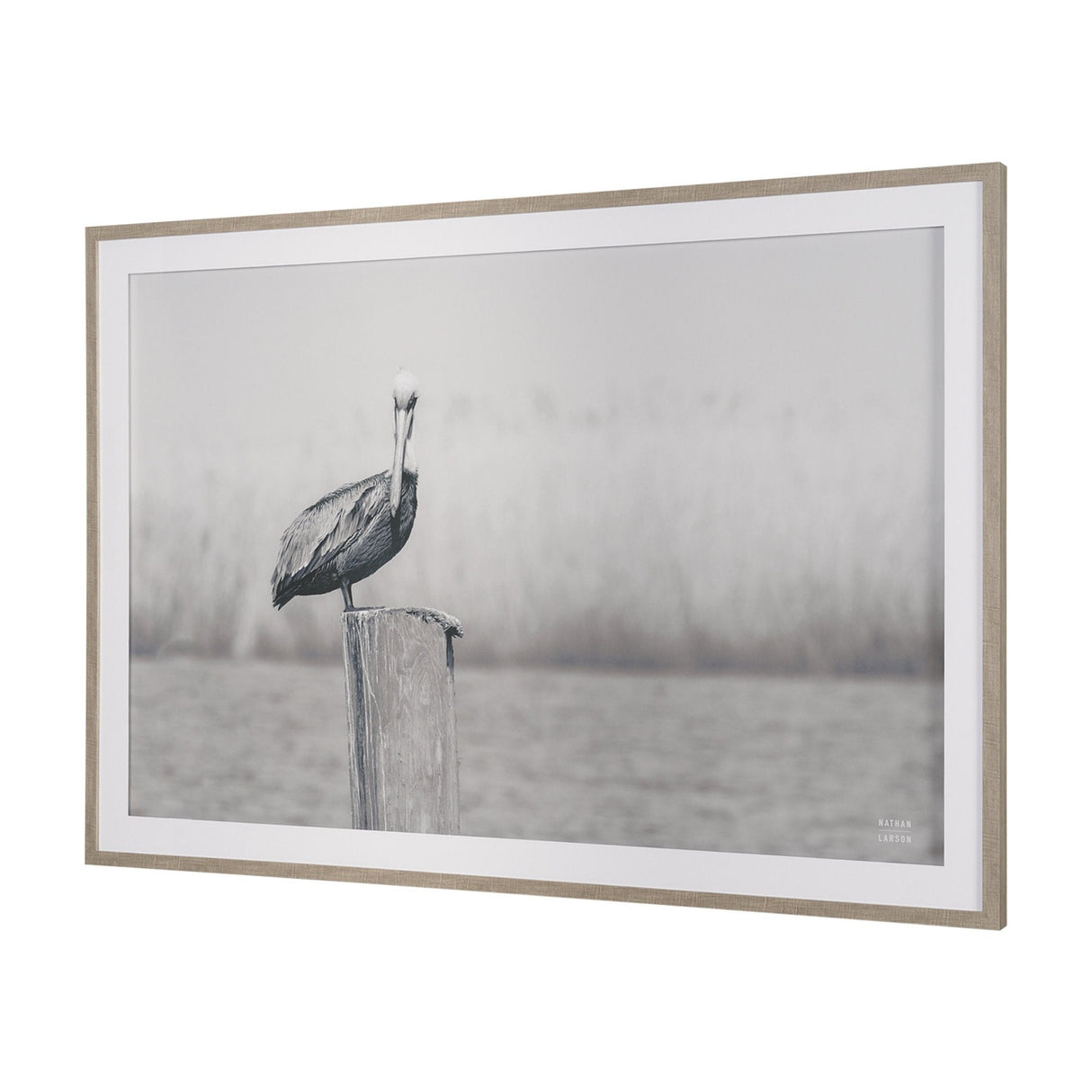 Pelican Stories by Nathan Larson Framed Art Print Matted under Glass by Mercana at Eve Furniture