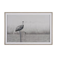 Pelican Stories by Nathan Larson Framed Art Print Matted under Glass by Mercana at Eve Furniture