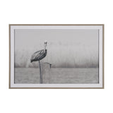 Pelican Stories by Nathan Larson Framed Art Print Matted under Glass by Mercana at Eve Furniture