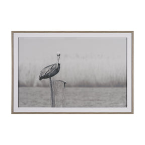 Pelican Stories by Nathan Larson Framed Art Print Matted under Glass by Mercana at Eve Furniture
