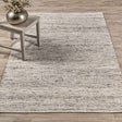 Performance Havasu Natural Rug by Classic Home at Eve Furniture
