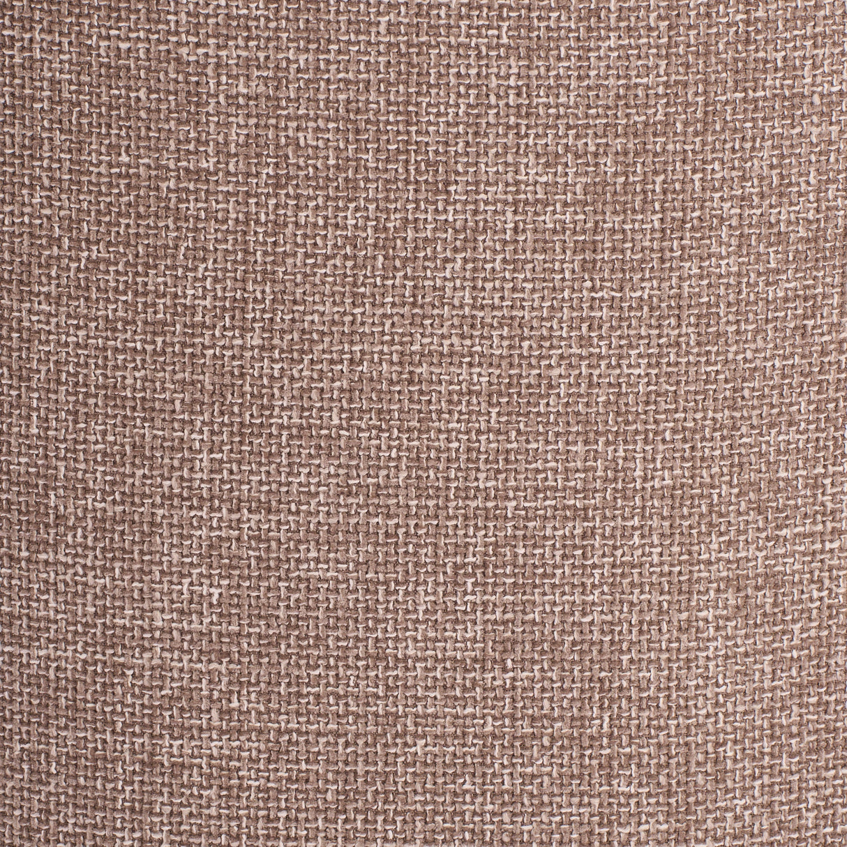 Peridot Taupe Dining Chair by Zuomod at Eve Furniture