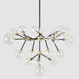 Phoenix Chandelier by Classic Home at Eve Furniture