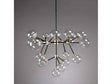 Phoenix Clear Chandelier by Classic Home at Eve Furniture