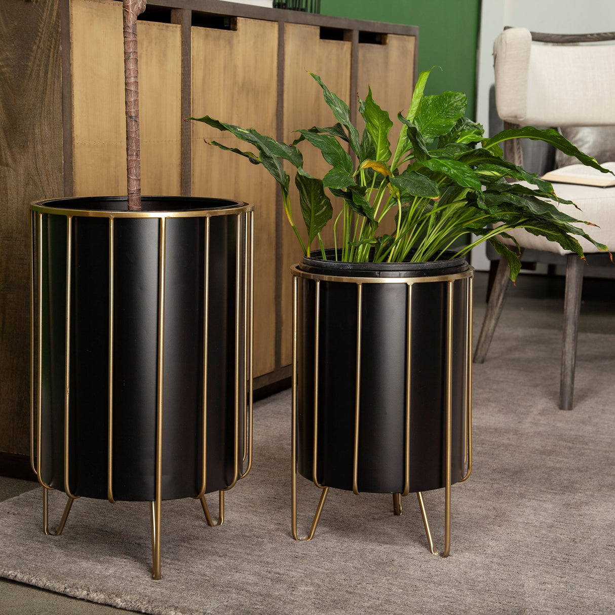 Pianta 13 x 21 Set of Two Black Metal Insert Brass Frame Plant Stands by Mercana at Eve Furniture