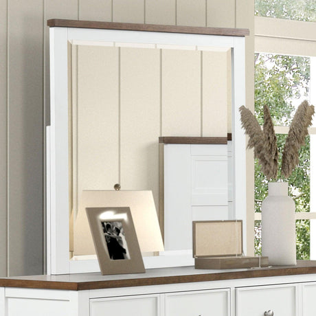 Pinetop White/Dark Brown Mirror by Furniture of America at Eve Furniture
