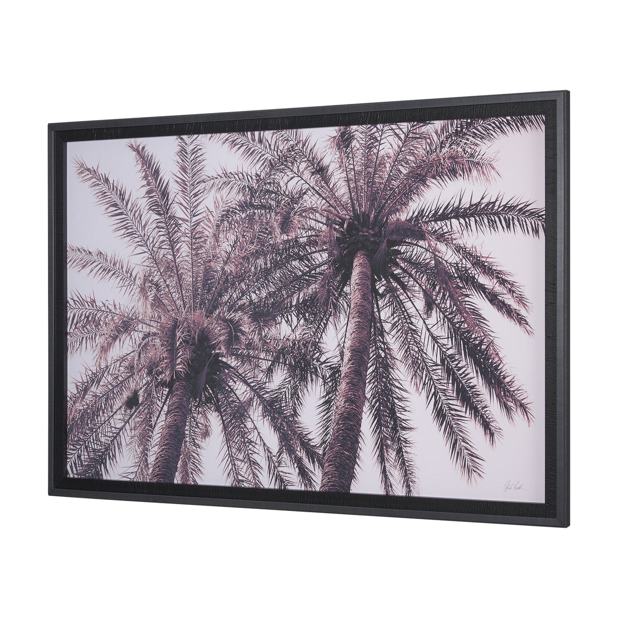Pink Palms Horizontal by Deborah Revell a Framed Photo Art Print Matted under Glass by Mercana at Eve Furniture
