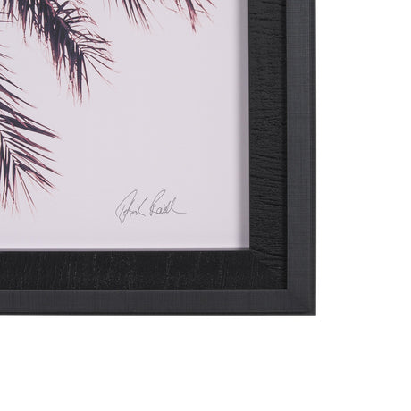 Pink Palms Horizontal by Deborah Revell a Framed Photo Art Print Matted under Glass by Mercana at Eve Furniture