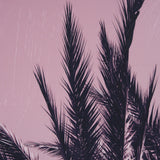 Pink Palms I by Deborah Revell a Hand Embellished Framed Photo Art Print by Mercana at Eve Furniture