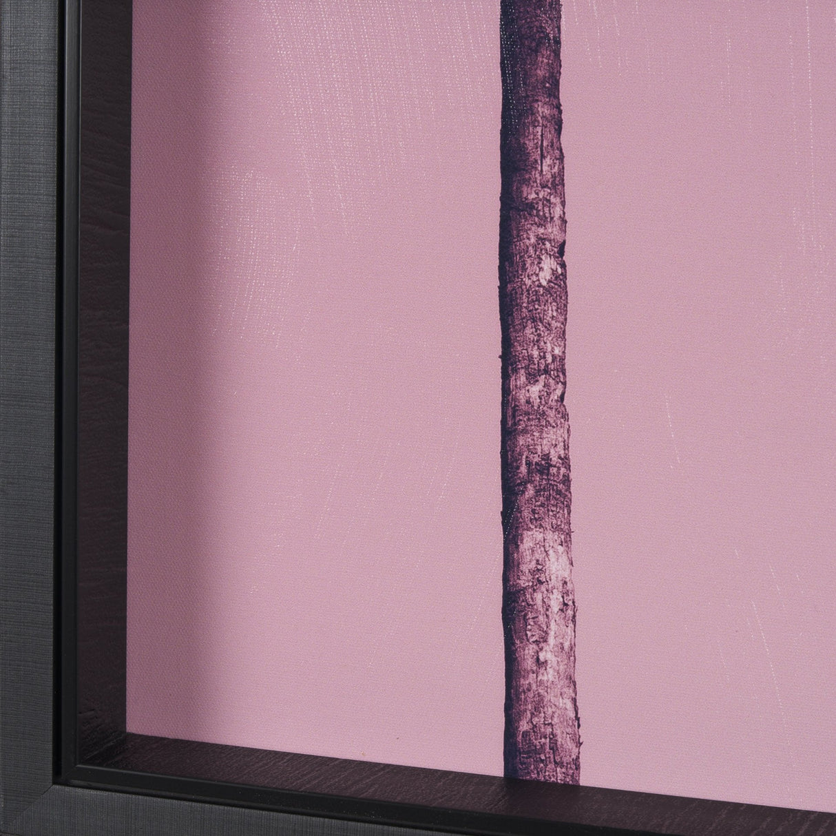 Pink Palms II by Deborah Revell a Hand Embellished Framed Photo Art Print by Mercana at Eve Furniture