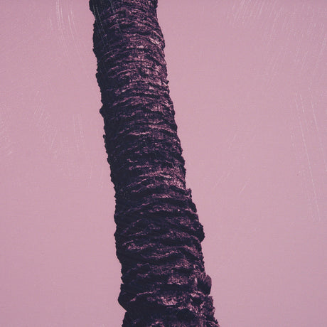 Pink Palms II by Deborah Revell a Hand Embellished Framed Photo Art Print by Mercana at Eve Furniture