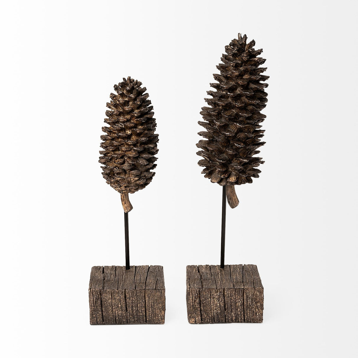 Pinterra (Small) 4L x 4W Brown Resin Pinecone Replica by Mercana at Eve Furniture