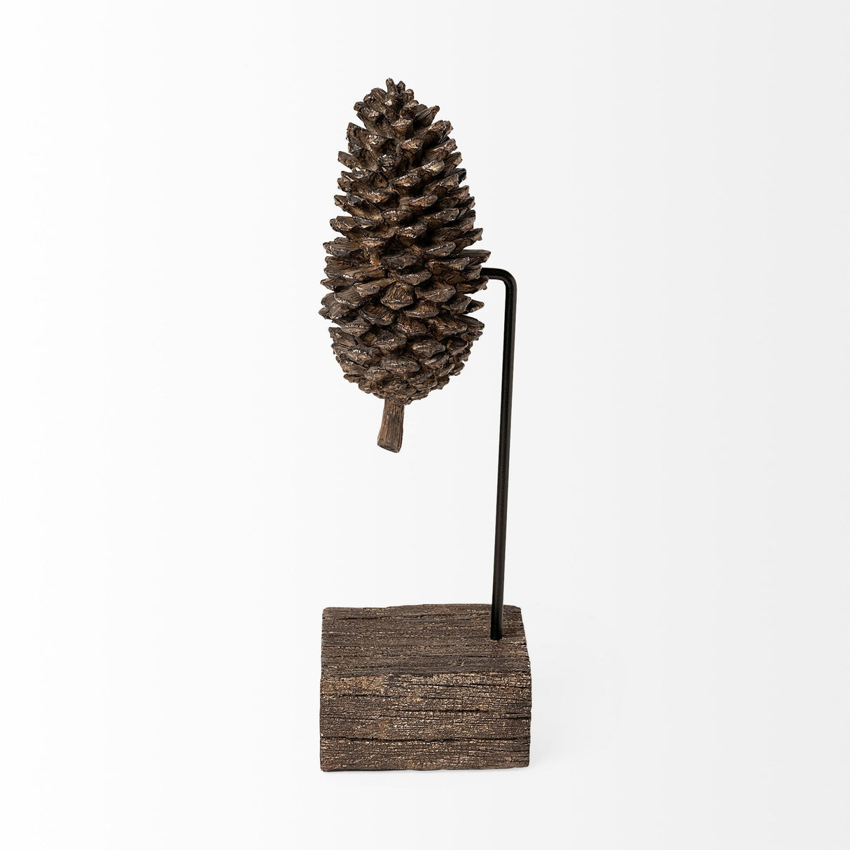 Pinterra (Small) 4L x 4W Brown Resin Pinecone Replica by Mercana at Eve Furniture
