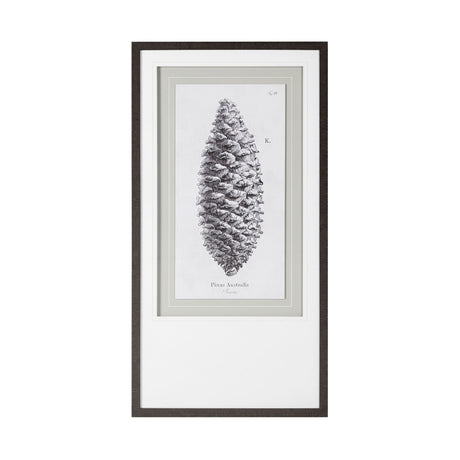 Pinus Australis by Maria Mendez a Framed Art Print Matted under Glass by Mercana at Eve Furniture