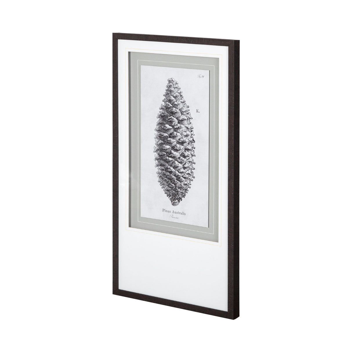 Pinus Australis by Maria Mendez a Framed Art Print Matted under Glass by Mercana at Eve Furniture