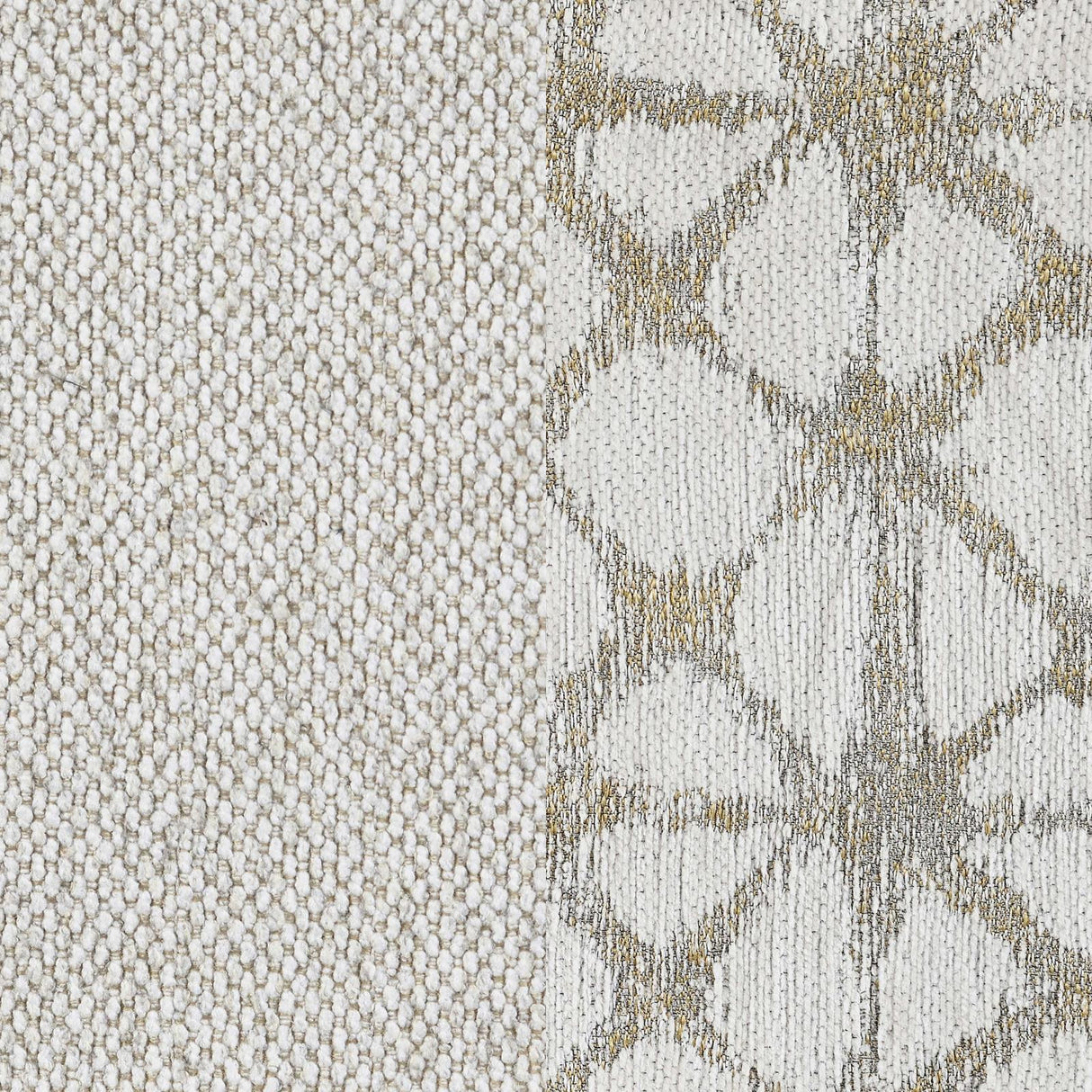 Pippin Latte Upholstered Wingback Accent Chair by Coaster at Eve Furniture