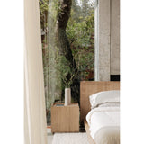 Plank Natural Queen Bed by Moe's Home at Eve Furniture