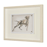 Playful Pup V by Mercana Studio Hand Embelished Framed Artwork Matted under Glass by Mercana at Eve Furniture