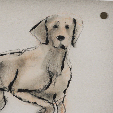 Playful Pup V by Mercana Studio Hand Embelished Framed Artwork Matted under Glass by Mercana at Eve Furniture