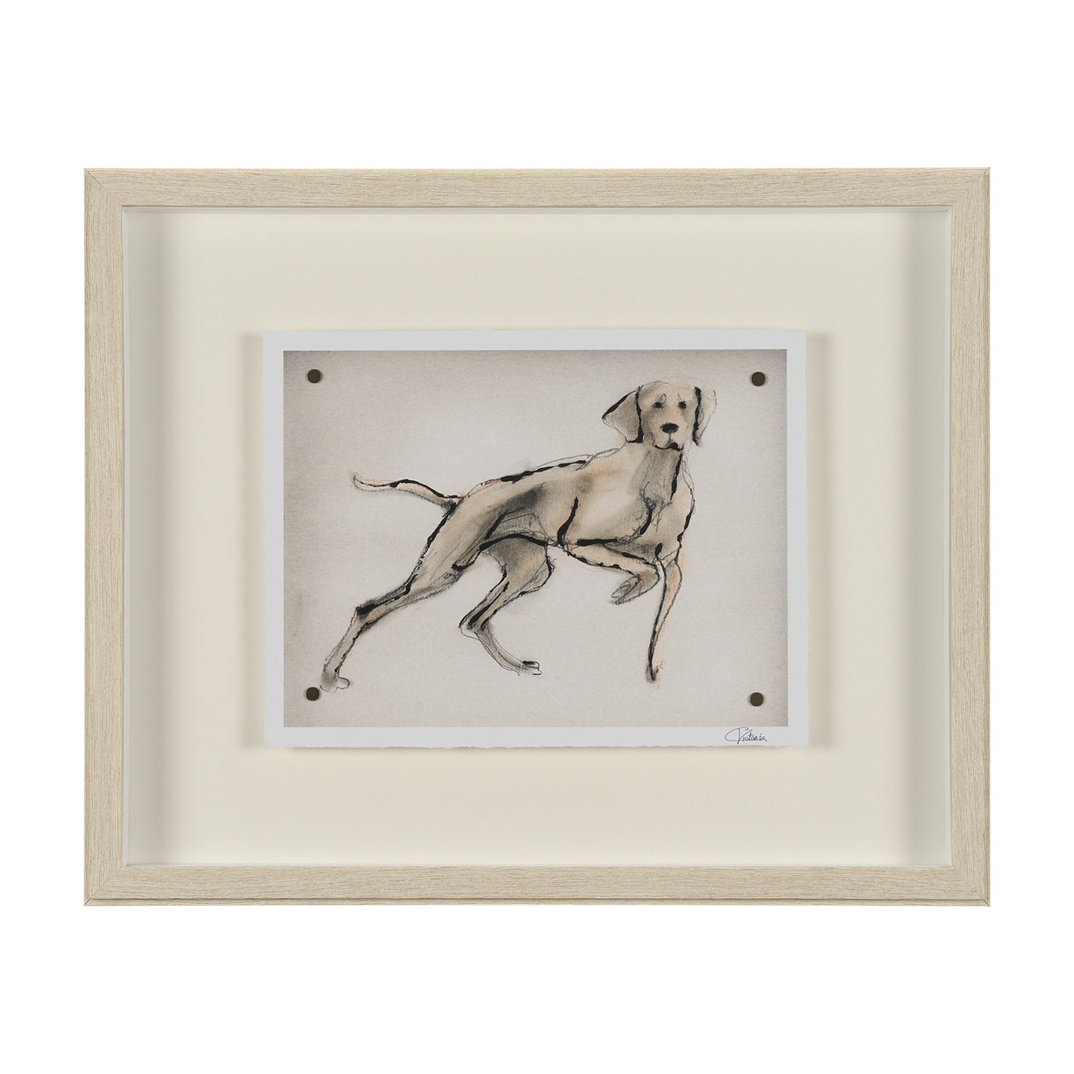 Playful Pup V by Mercana Studio Hand Embelished Framed Artwork Matted under Glass by Mercana at Eve Furniture