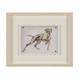 Playful Pup V by Mercana Studio Hand Embelished Framed Artwork Matted under Glass by Mercana at Eve Furniture
