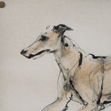 Playful Pup VI by Mercana Studio Hand Embelished Framed Artwork Matted under Glass by Mercana at Eve Furniture