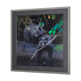 Playing Bears by Chad Mackay a Hand Embellished Textured Framed Photo Art Print Matted under Glass by Mercana at Eve Furniture