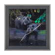 Playing Bears by Chad Mackay a Hand Embellished Textured Framed Photo Art Print Matted under Glass by Mercana at Eve Furniture