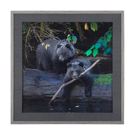 Playing Bears by Chad Mackay a Hand Embellished Textured Framed Photo Art Print Matted under Glass by Mercana at Eve Furniture
