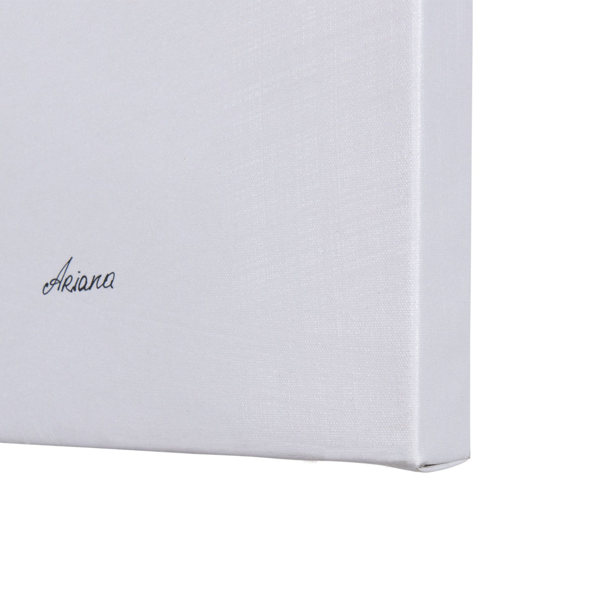 Plum Branch II by Mercana Studio a Hand Embellished Textured Canvas by Mercana at Eve Furniture