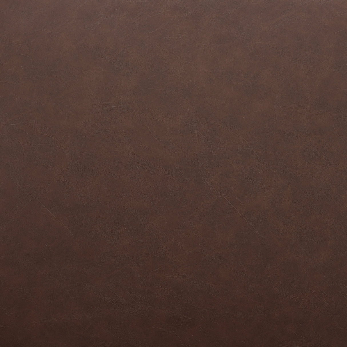 Pola Brown Counter Stool by Zuomod at Eve Furniture