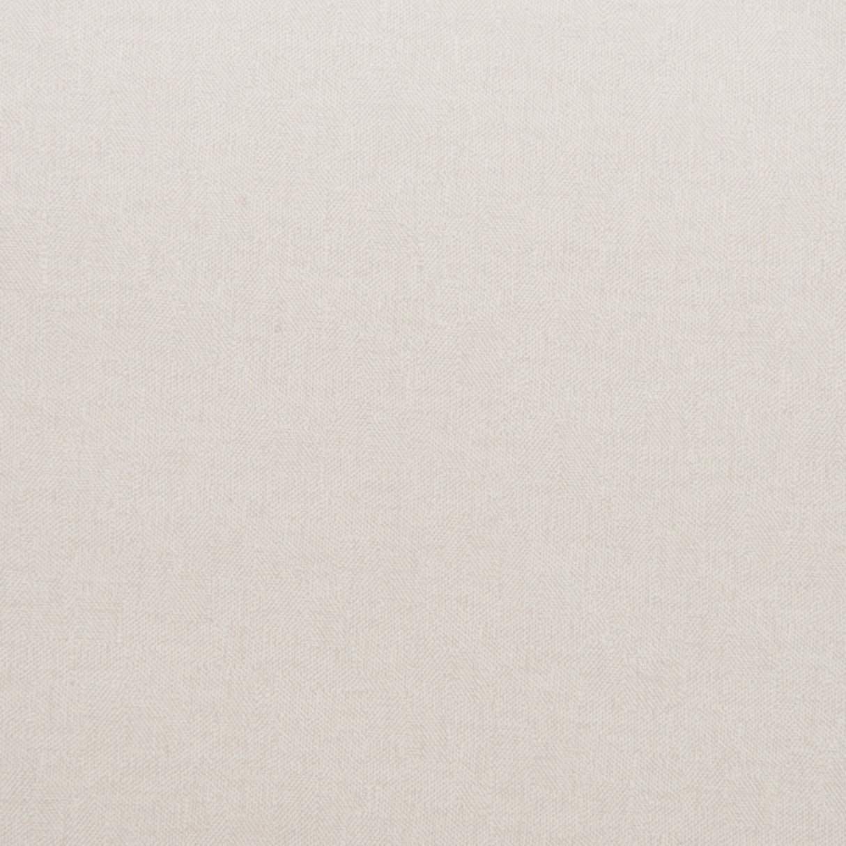 Pola White Dining Chair (Set of 2) by Zuomod at Eve Furniture