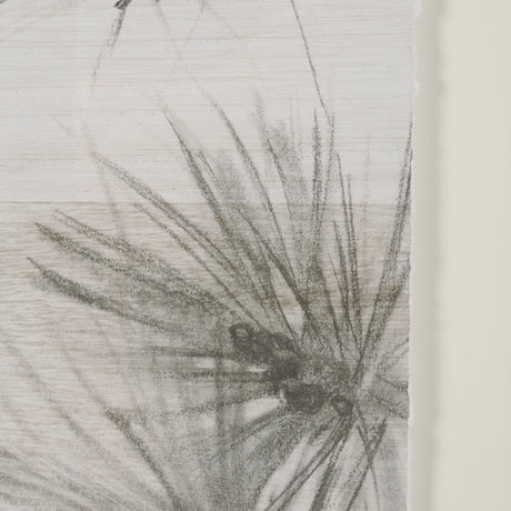 Ponderosa Whisper by Mercana Studio Hand Embelished Framed Artwork Matted under Glass by Mercana at Eve Furniture