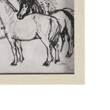 Pony Sketches II by Mercana Studio Hand-Embellished Framed Artwork Matted under Glass by Mercana at Eve Furniture