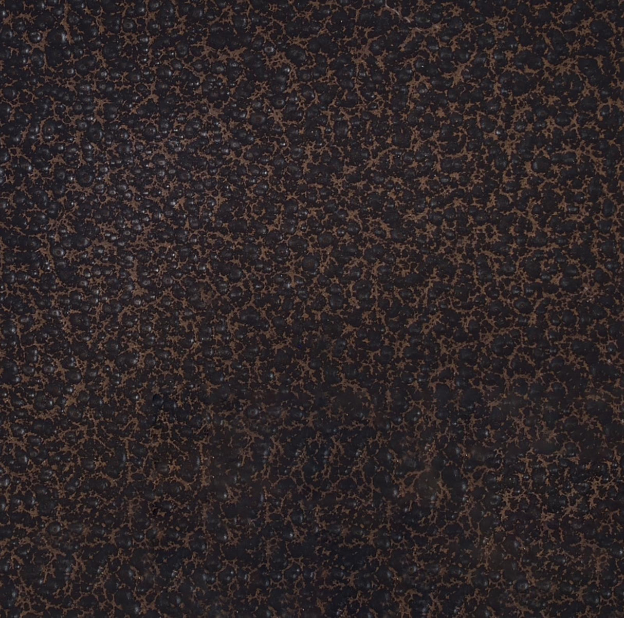 Poppy Cappuccino/Copper 4-Shelf Corner Bookcase by Coaster at Eve Furniture