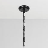 Poppy Chandelier by Classic Home at Eve Furniture