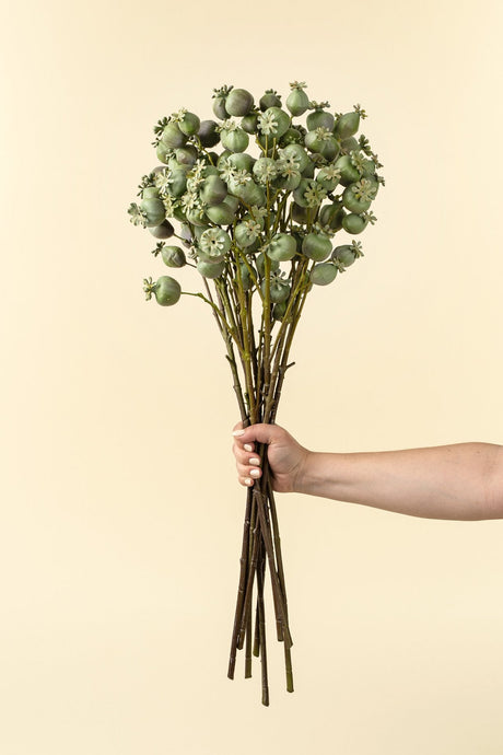 Poppy Pod Branch, Set of 24 by Mercana at Eve Furniture