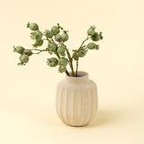 Poppy Pod Branch, Set of 24 by Mercana at Eve Furniture