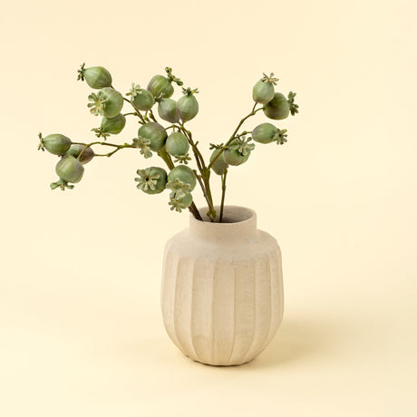 Poppy Pod Branch, Set of 24 by Mercana at Eve Furniture