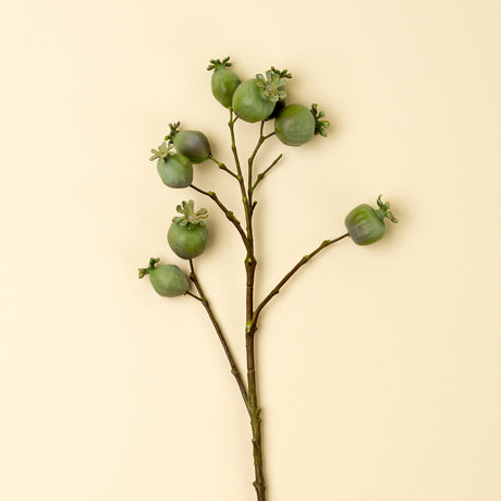 Poppy Pod Branch, Set of 24 by Mercana at Eve Furniture