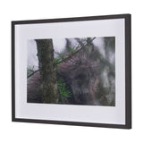 Porcupine Visit by Chad Mackay a Hand Embellished Framed Photo Art Print Matted under Glass by Mercana at Eve Furniture