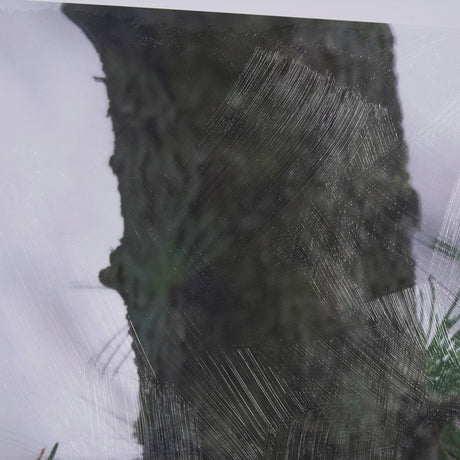 Porcupine Visit by Chad Mackay a Hand Embellished Framed Photo Art Print Matted under Glass by Mercana at Eve Furniture