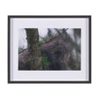 Porcupine Visit by Chad Mackay a Hand Embellished Framed Photo Art Print Matted under Glass by Mercana at Eve Furniture