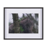 Porcupine Visit by Chad Mackay a Hand Embellished Framed Photo Art Print Matted under Glass by Mercana at Eve Furniture
