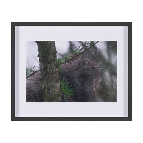 Porcupine Visit by Chad Mackay a Hand Embellished Framed Photo Art Print Matted under Glass by Mercana at Eve Furniture