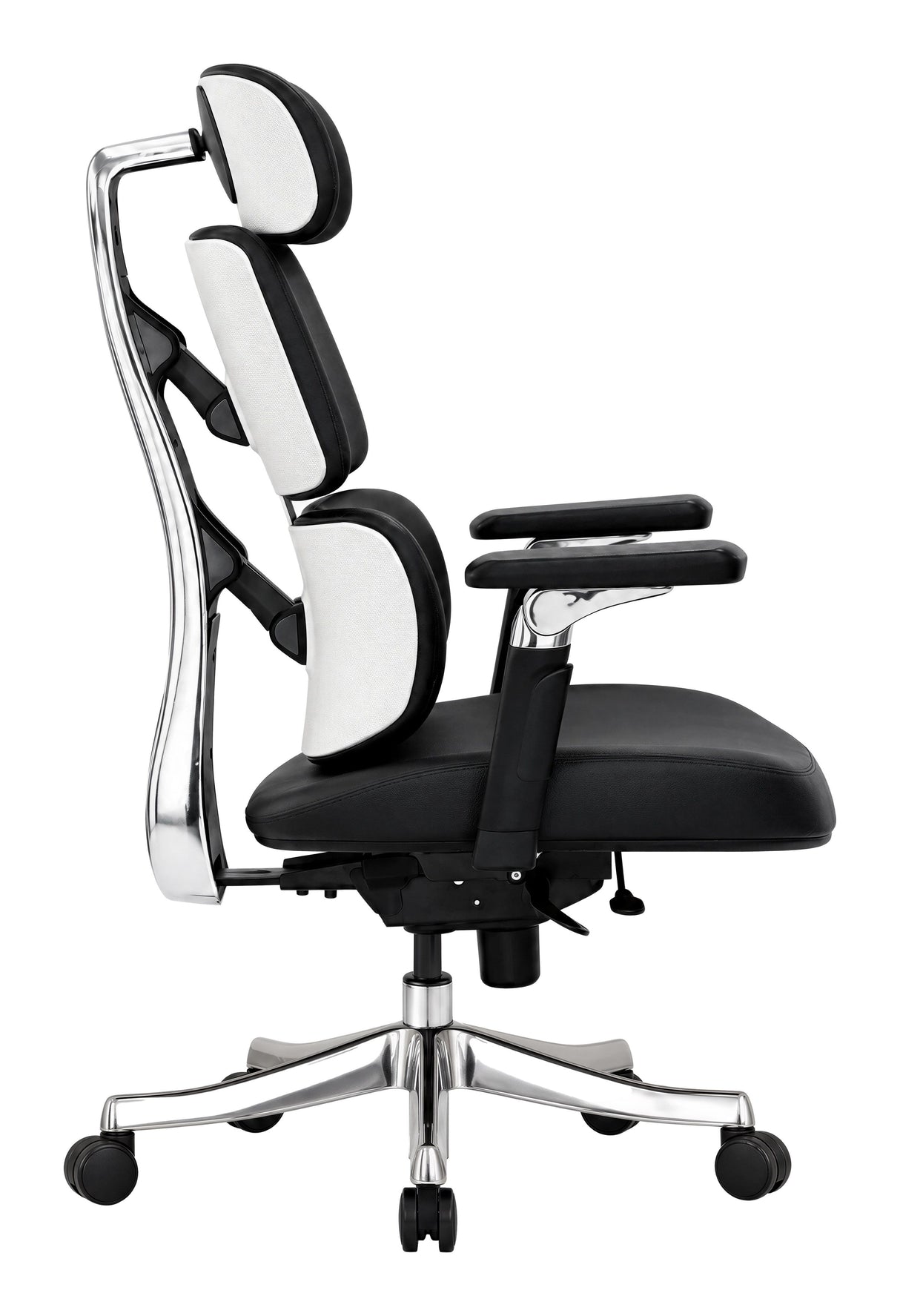 Portia Office Chair Black by Zuomod at Eve Furniture
