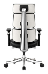 Portia Office Chair Black by Zuomod at Eve Furniture