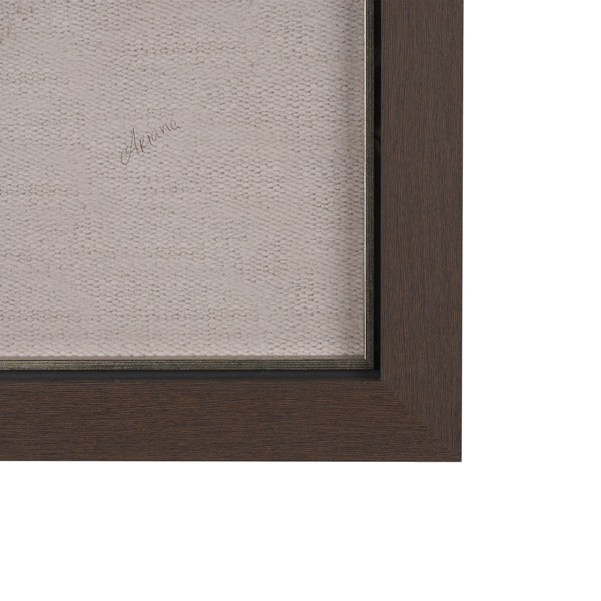 Portrait of a Thoroughbred I by Mercana Studio a Framed Art Print Matted under Glass by Mercana at Eve Furniture