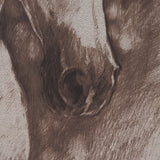 Portrait of a Thoroughbred I by Mercana Studio a Framed Art Print Matted under Glass by Mercana at Eve Furniture