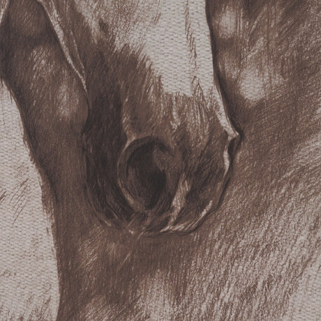 Portrait of a Thoroughbred I by Mercana Studio a Framed Art Print Matted under Glass by Mercana at Eve Furniture